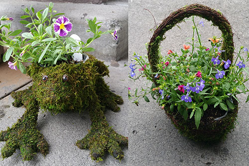 Moss Planters