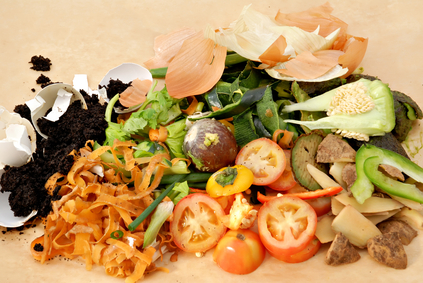 food scraps used for making compost
