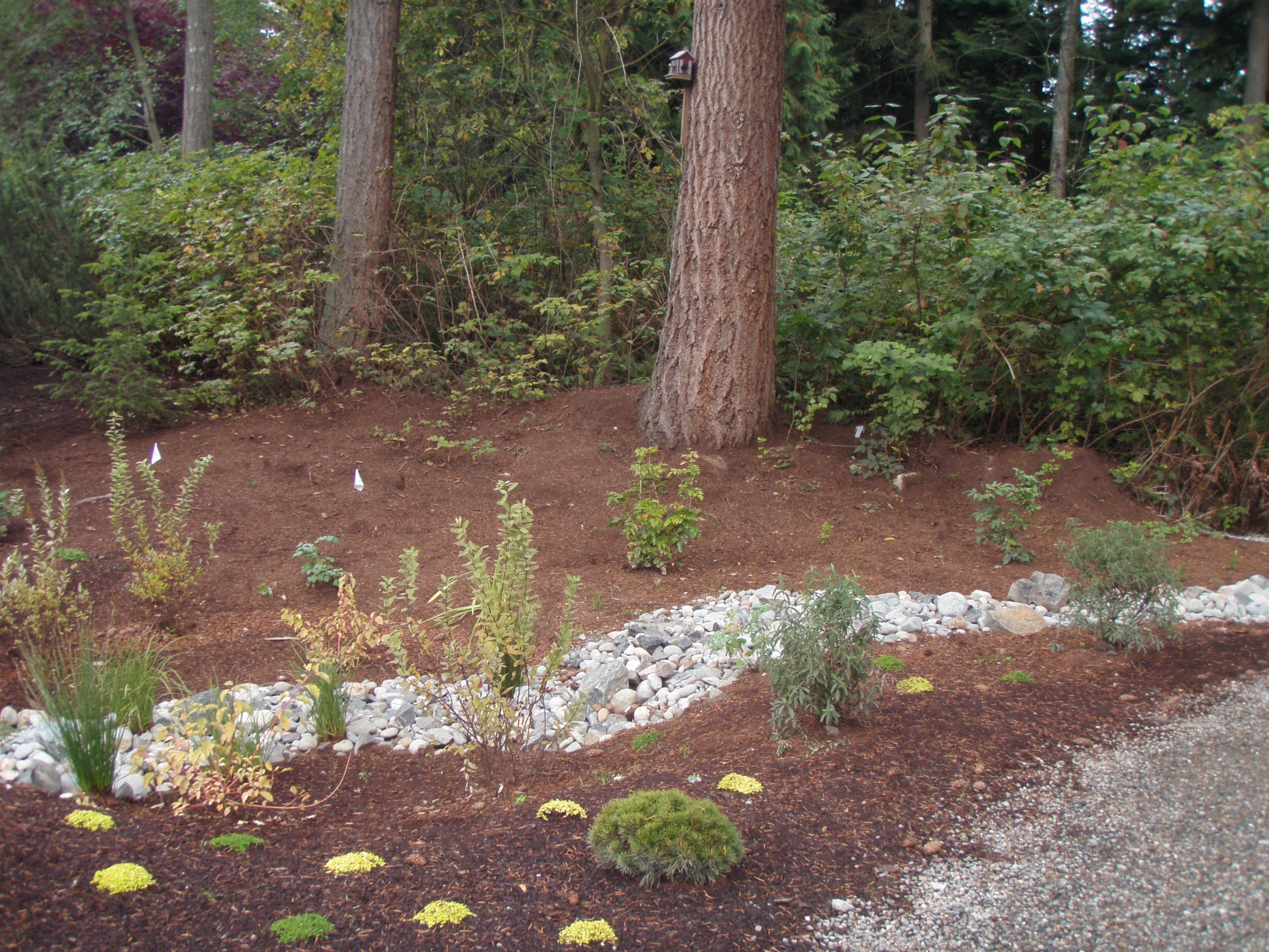 French Drain