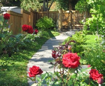 Rose garden design by Kirkland Landscape Company, Environmental Construction