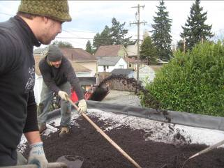 Quality dirt covers the green roof