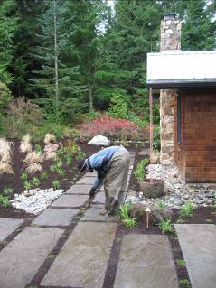 Groundcover is a nice touch when placed in the walkway of this home in the Seattle area - Bellevue