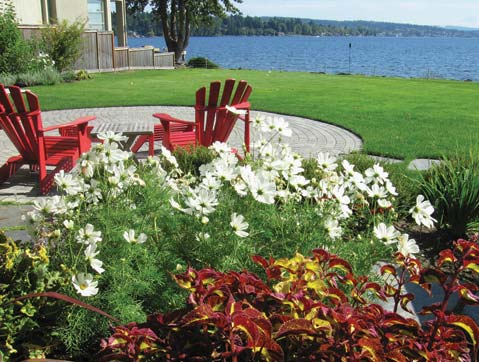 Hillside around home in Bellevue is remodelled by Landscaper in Seattle 