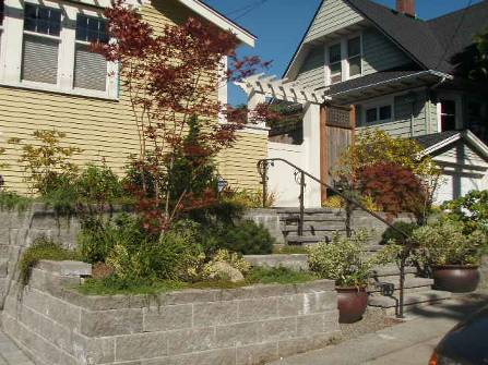 Residential landscaper in Seattle area improves courtyard of home in Bellevue