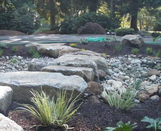 Environmental Construction controls water run-off by installing rain gardens