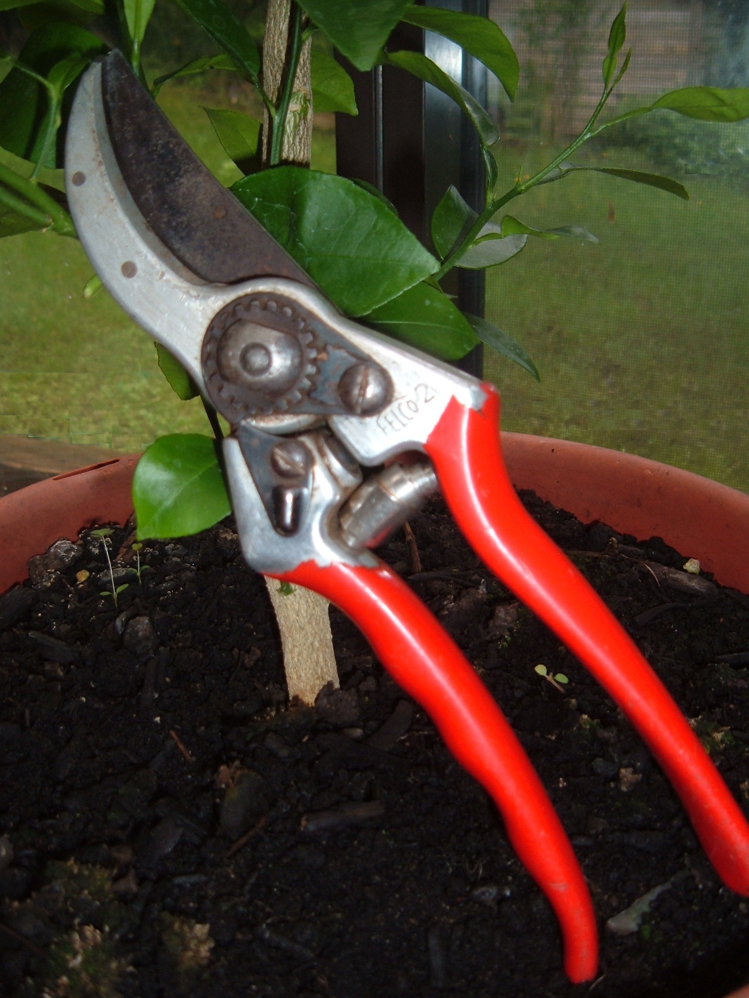 bypass pruners